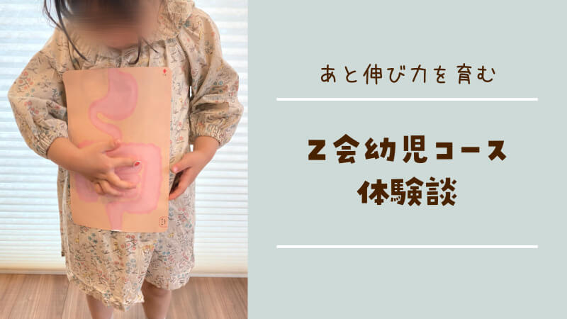 Ｚ会幼児の口コミ・評判】めんどくさいかを全コース受講して確かめてみ