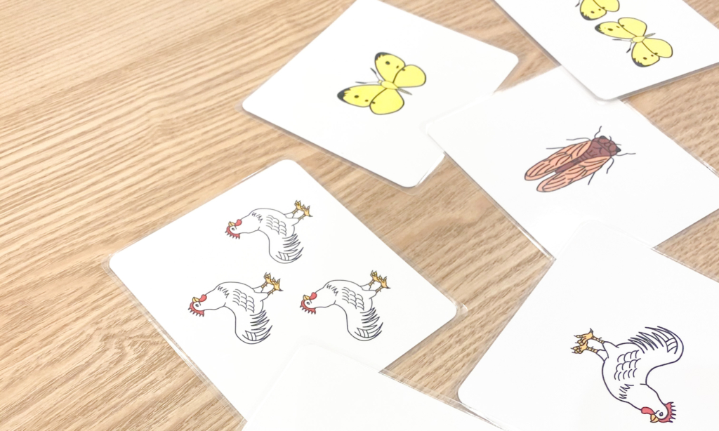 ピグマリオン幼児家庭学習親子カード